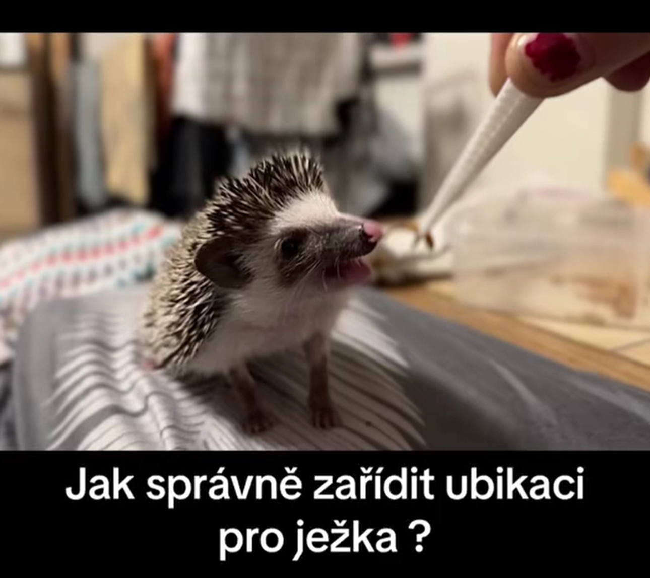 Klikni pro shlédnutí videa