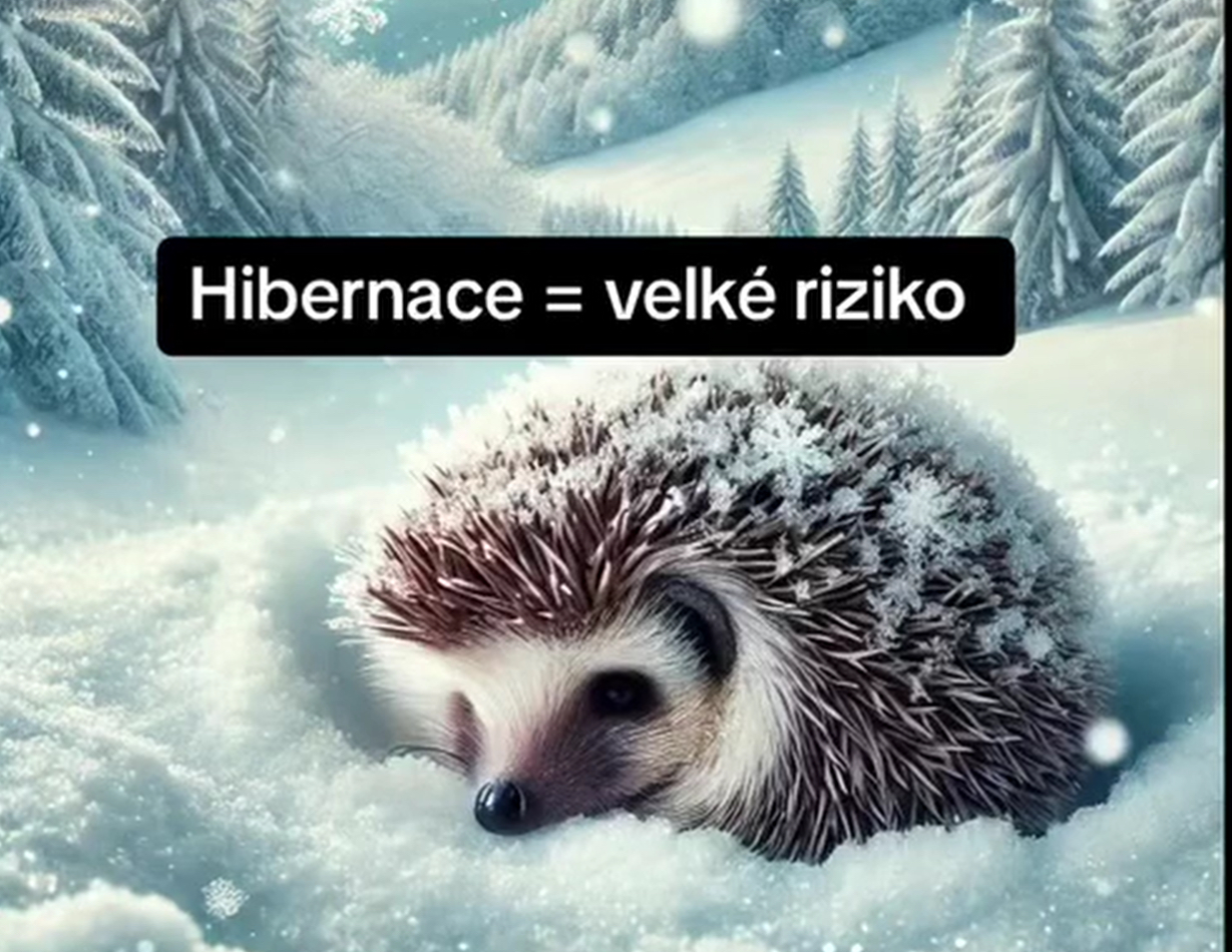 Klikni pro shlédnutí videa